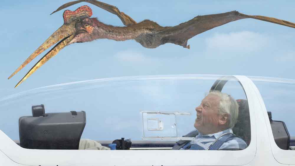познавательные фильмы про динозавров