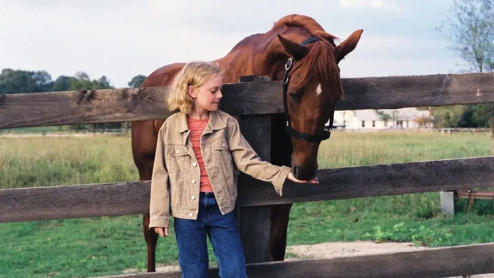 детские фильмы про лошадей