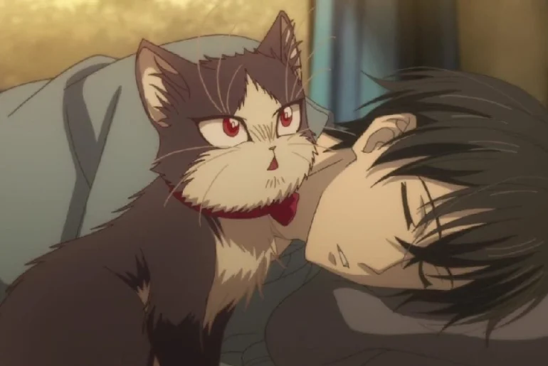 Аниме про кошек