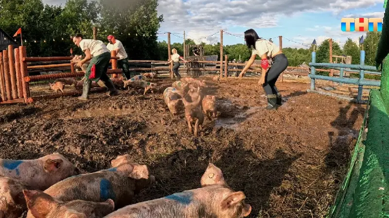 где снимали шоу первые на деревне тнт