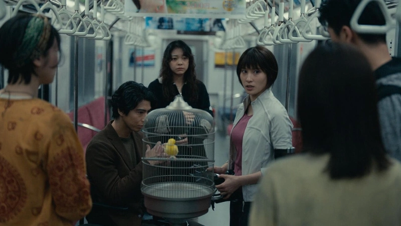 алиса в пограничье конец объяснение