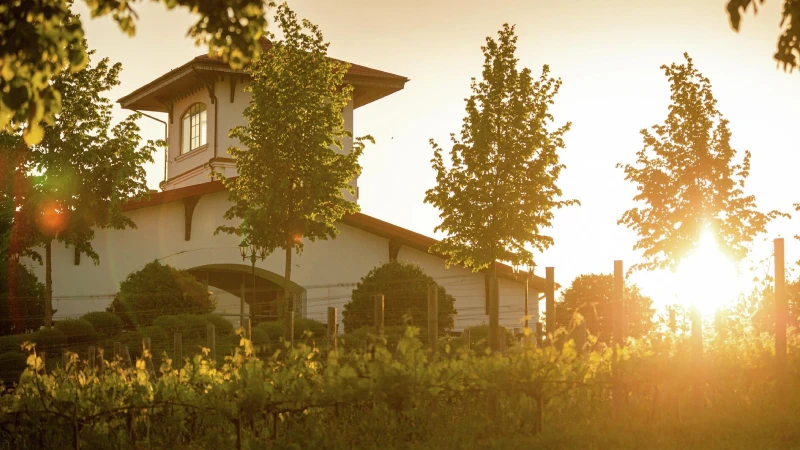 где снимались виноделы