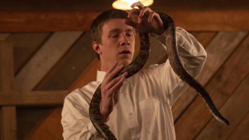 лучшие фильмы о змеях